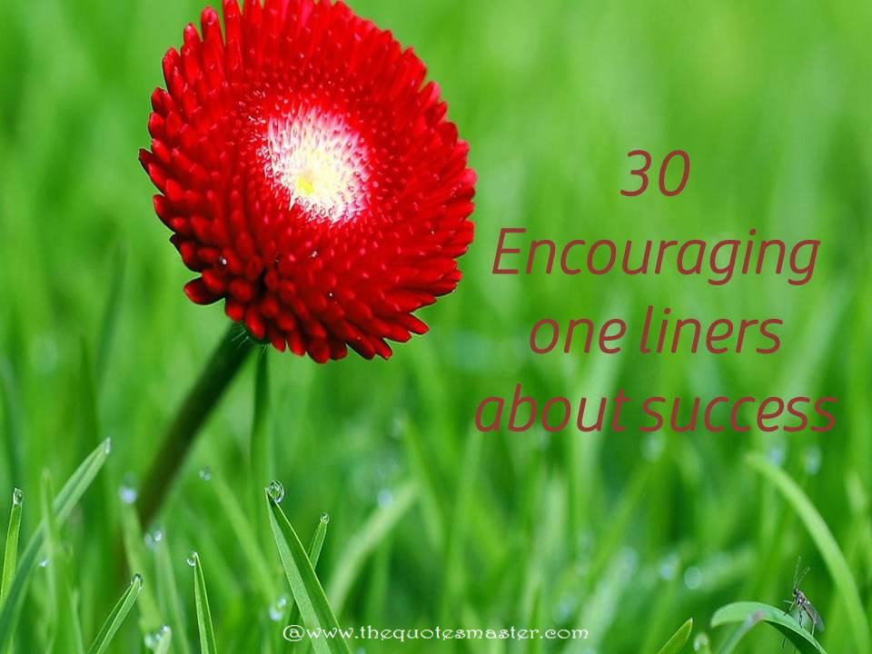 30 encouraging one liners about success