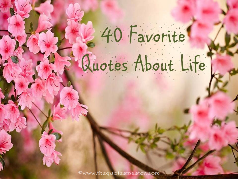 40 favorite quotes about life