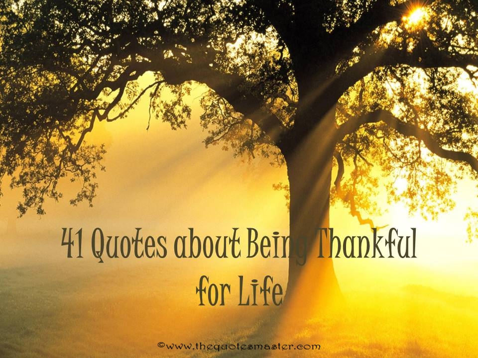 41 quotes about being thankful for life