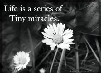 Life is a miracle picture quotes
