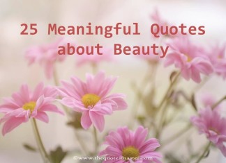 25 meaningful quotes about beauty
