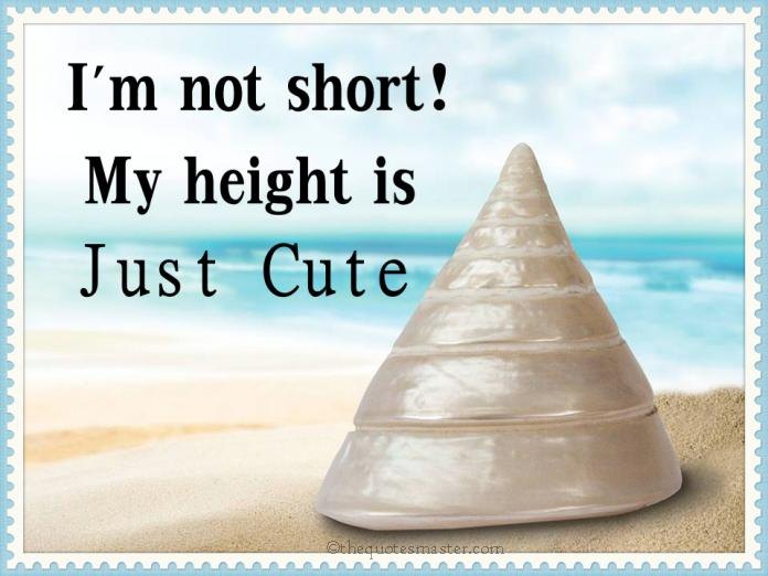 I am not short Quotes