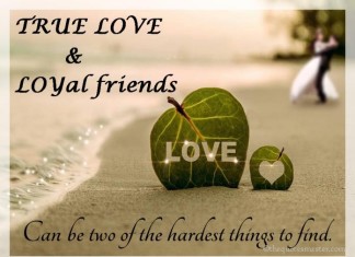 True Love and Friendship Quotes