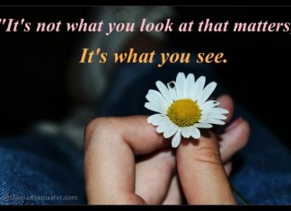 What you see matters Quote