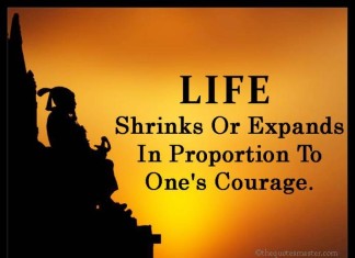 Life and Courage Quotes