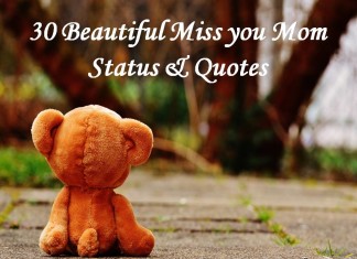 30 Beautiful Miss you Mom Status & Quotes