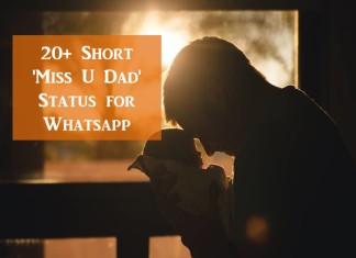 Miss U Dad Status for Whatsapp