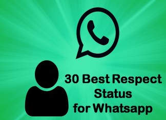 30 Best Respect Status for Whatsapp