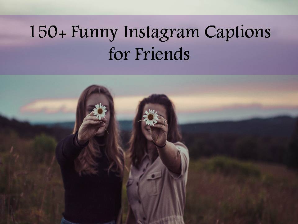 150 Funny Instagram Captions For Friends