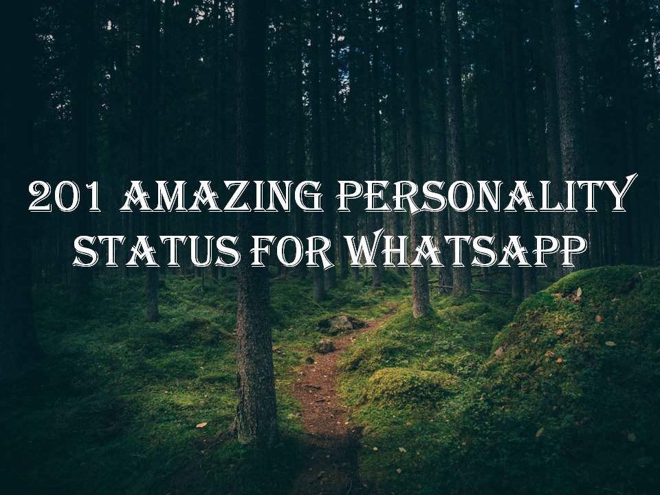 Status quotes whatsapp single 200+ Inspiring