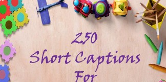 250 Short Captions For Profile Pictures