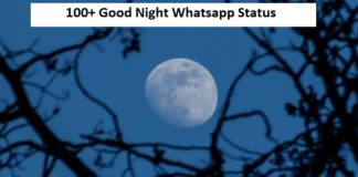 Good Night Whatsapp Status