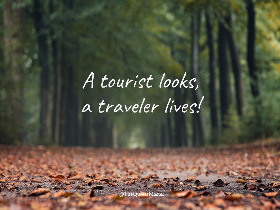 A tourist looks, a traveler lives
