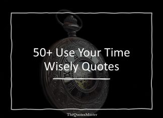 Use Your Time Wisely Quotes