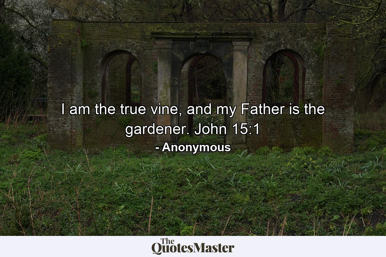 I am the true vine, and my Father is the gardener. John 15:1 - Quote by Anonymous