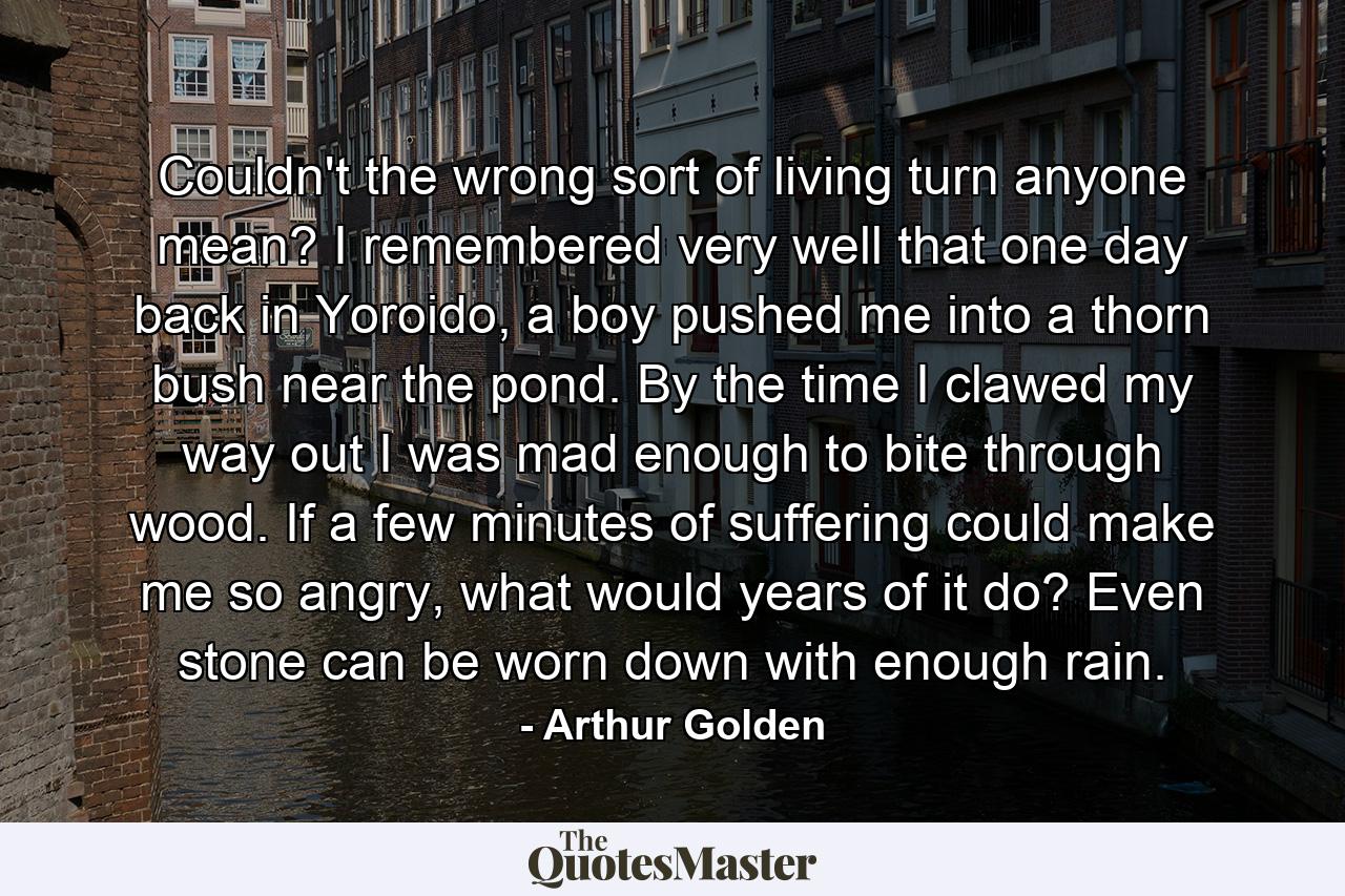 Couldn't the wrong sort of living turn anyone mean? I remembered very well that one day back in Yoroido, a boy pushed me into a thorn bush near the pond. By the time I clawed my way out I was mad enough to bite through wood. If a few minutes of suffering could make me so angry, what would years of it do? Even stone can be worn down with enough rain. - Quote by Arthur Golden