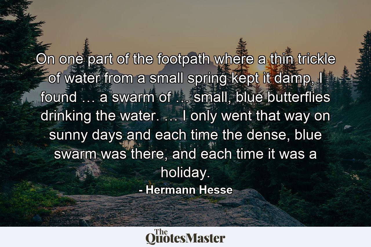 On one part of the footpath where a thin trickle of water from a small spring kept it damp, I found … a swarm of … small, blue butterflies drinking the water. … I only went that way on sunny days and each time the dense, blue swarm was there, and each time it was a holiday. - Quote by Hermann Hesse