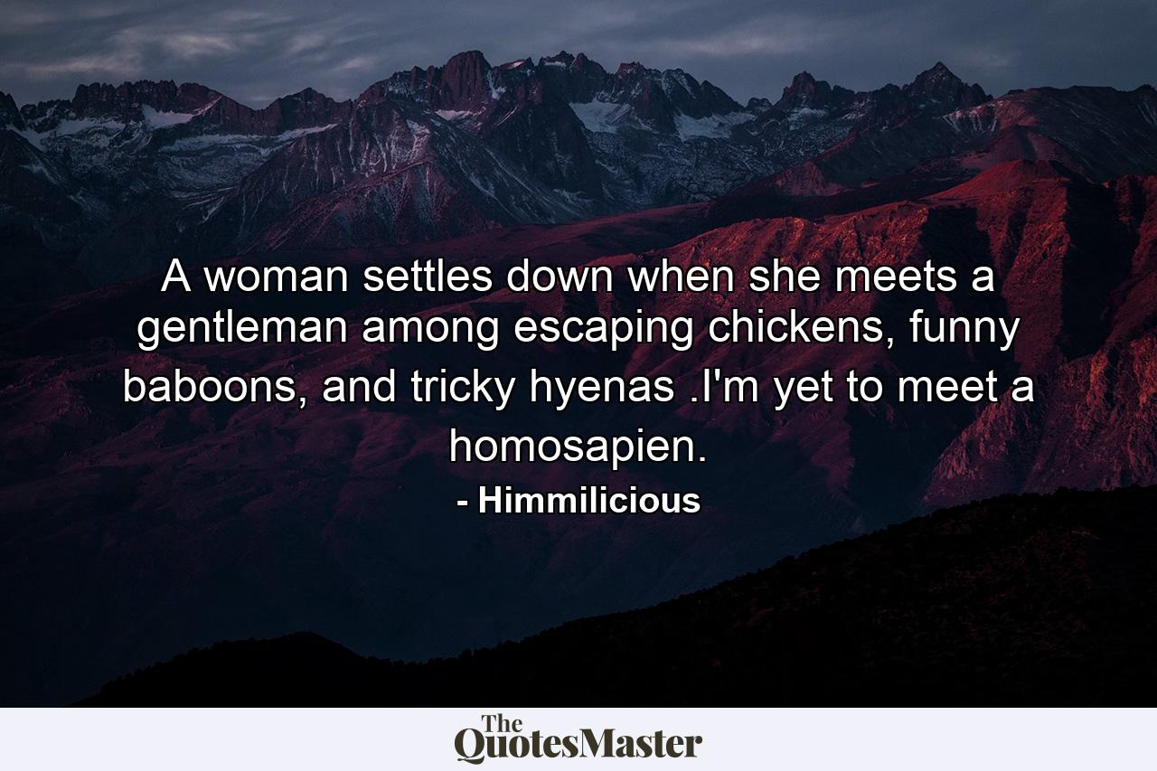 A woman settles down when she meets a gentleman among escaping chickens, funny baboons, and tricky hyenas .I'm yet to meet a homosapien. - Quote by Himmilicious