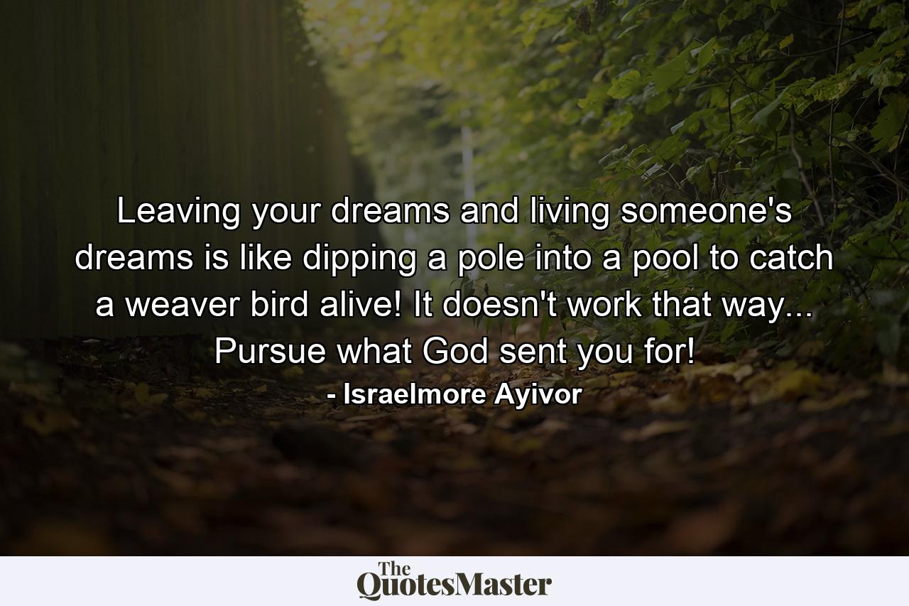 Leaving your dreams and living someone's dreams is like dipping a pole into a pool to catch a weaver bird alive! It doesn't work that way... Pursue what God sent you for! - Quote by Israelmore Ayivor