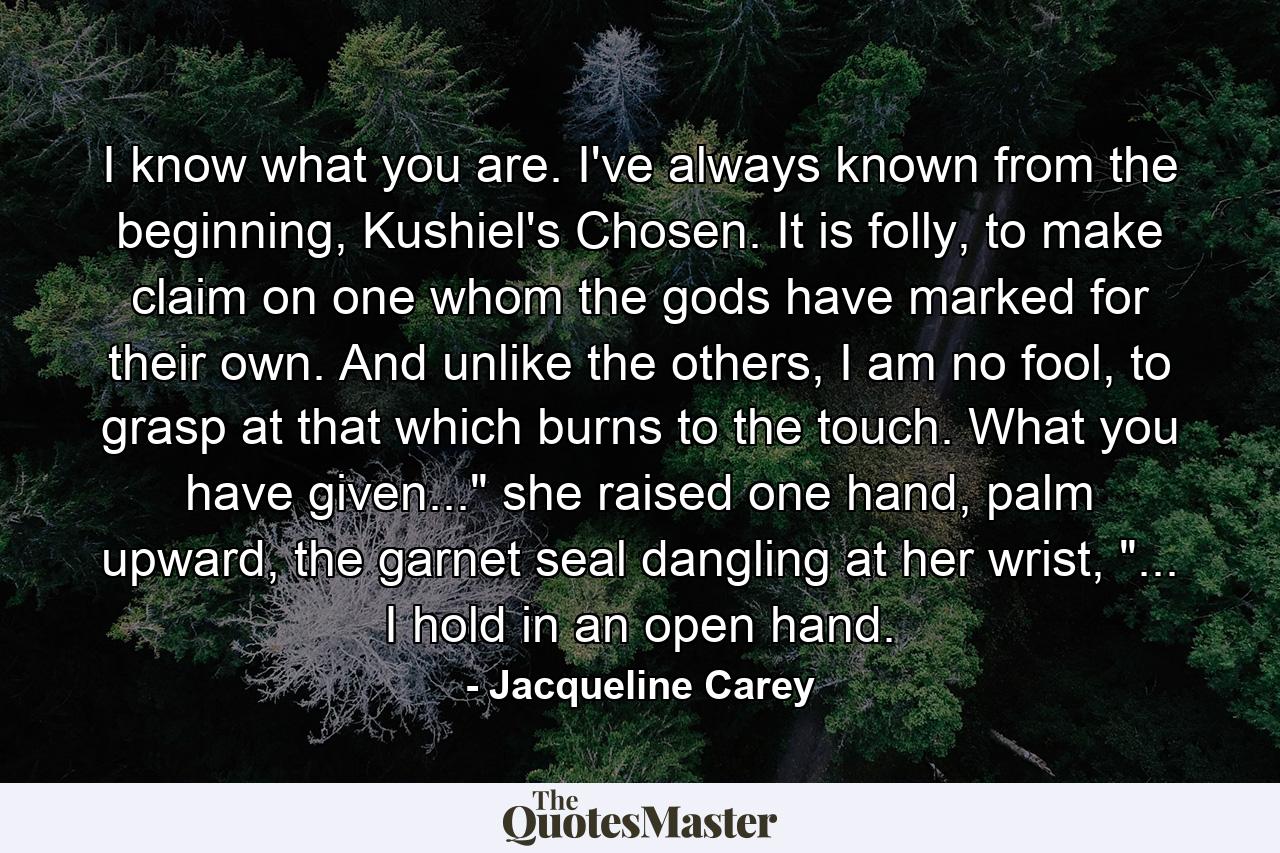 I know what you are. I've always known from the beginning, Kushiel's Chosen. It is folly, to make claim on one whom the gods have marked for their own. And unlike the others, I am no fool, to grasp at that which burns to the touch. What you have given...