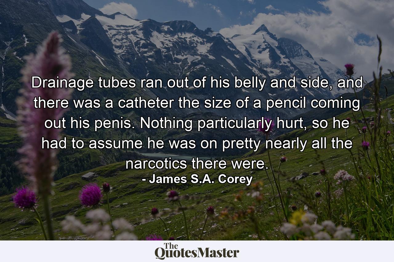 Drainage tubes ran out of his belly and side, and there was a catheter the size of a pencil coming out his penis. Nothing particularly hurt, so he had to assume he was on pretty nearly all the narcotics there were. - Quote by James S.A. Corey