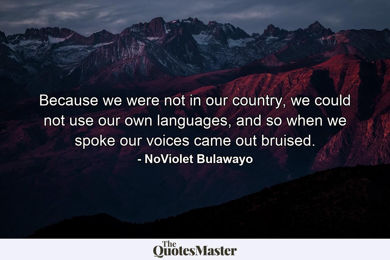 Because we were not in our country, we could not use our own languages, and so when we spoke our voices came out bruised. - Quote by NoViolet Bulawayo