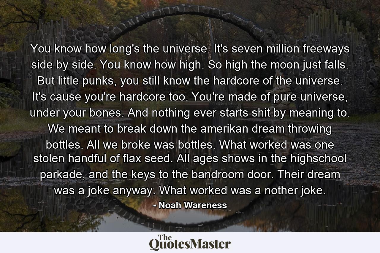 You know how long's the universe. It's seven million freeways side by side. You know how high. So high the moon just falls. But little punks, you still know the hardcore of the universe. It's cause you're hardcore too. You're made of pure universe, under your bones. And nothing ever starts shit by meaning to. We meant to break down the amerikan dream throwing bottles. All we broke was bottles. What worked was one stolen handful of flax seed. All ages shows in the highschool parkade, and the keys to the bandroom door. Their dream was a joke anyway. What worked was a nother joke. - Quote by Noah Wareness