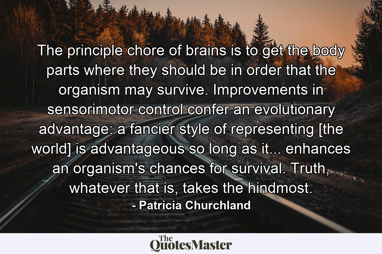 The principle chore of brains is to get the body parts where they should be in order that the organism may survive. Improvements in sensorimotor control confer an evolutionary advantage: a fancier style of representing [the world] is advantageous so long as it... enhances an organism's chances for survival. Truth, whatever that is, takes the hindmost. - Quote by Patricia Churchland