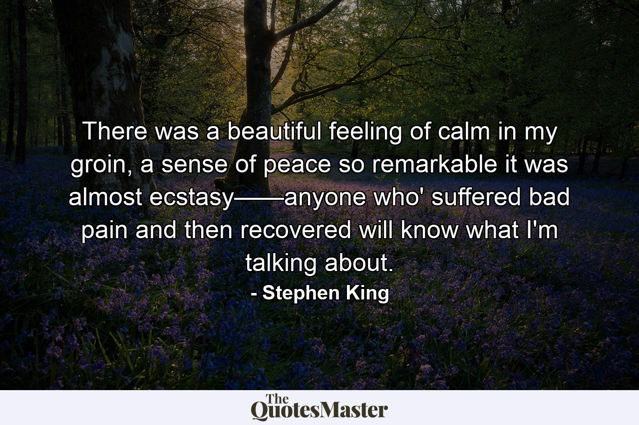 There was a beautiful feeling of calm in my groin, a sense of peace so remarkable it was almost ecstasy——anyone who' suffered bad pain and then recovered will know what I'm talking about. - Quote by Stephen King