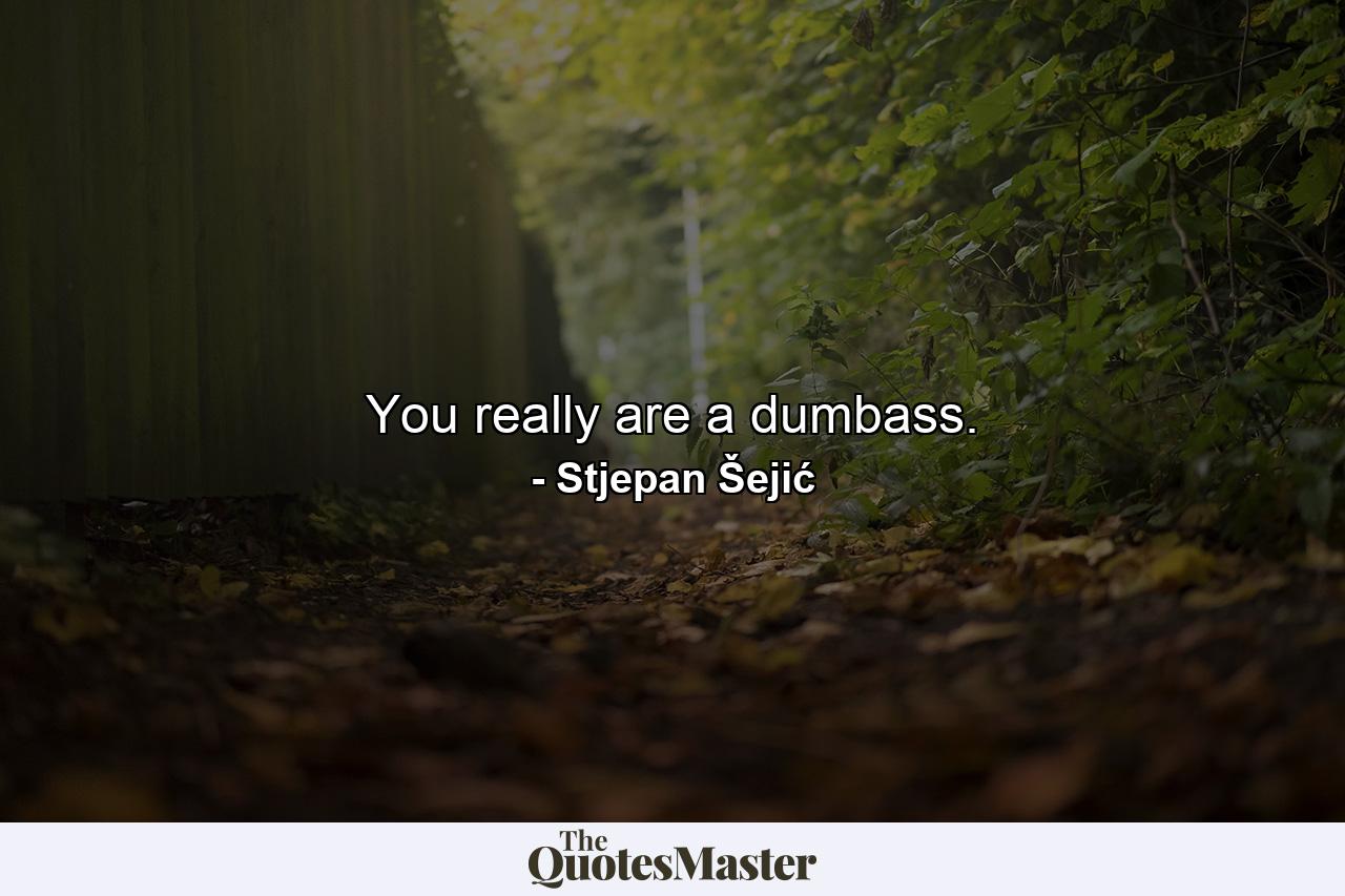 You really are a dumbass. - Quote by Stjepan Šejić