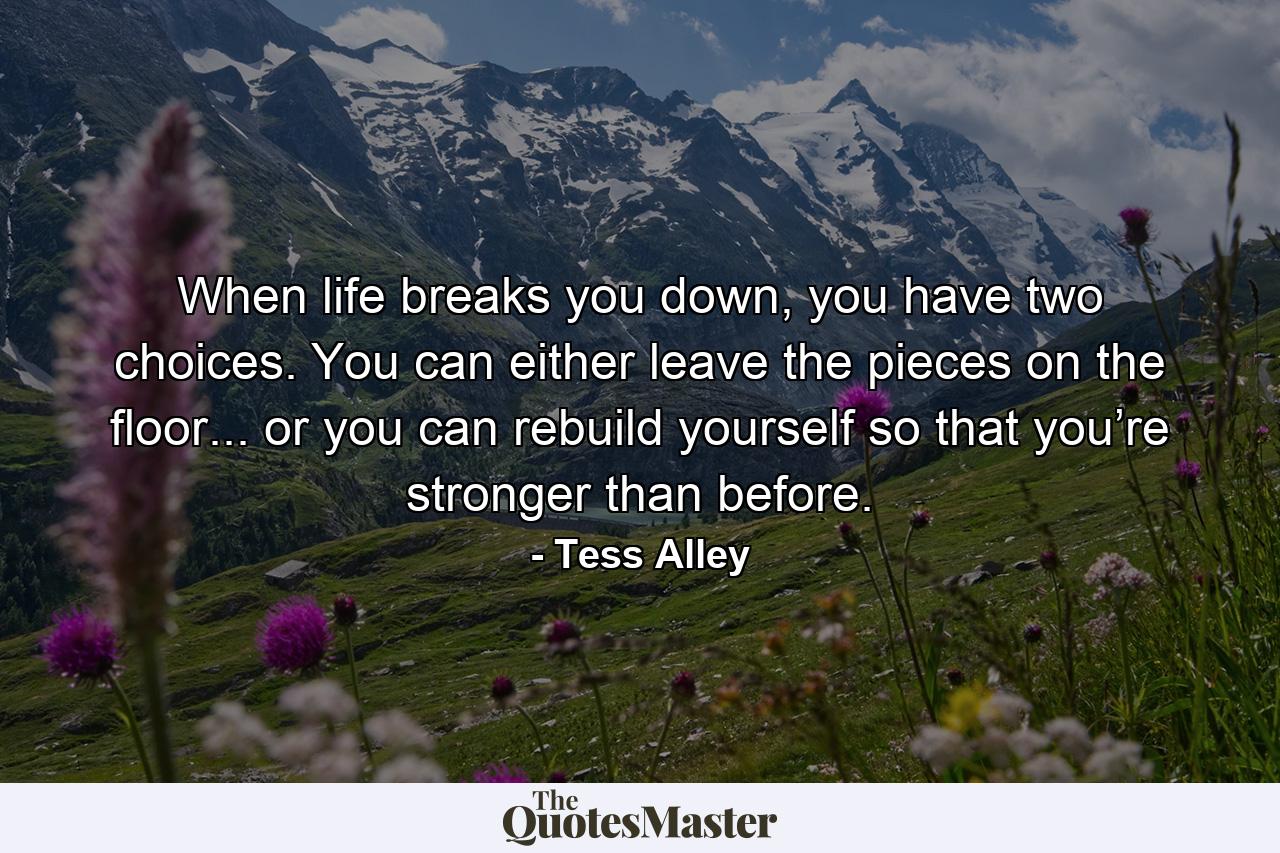 When life breaks you down, you have two choices. You can either leave the pieces on the floor... or you can rebuild yourself so that you’re stronger than before. - Quote by Tess Alley