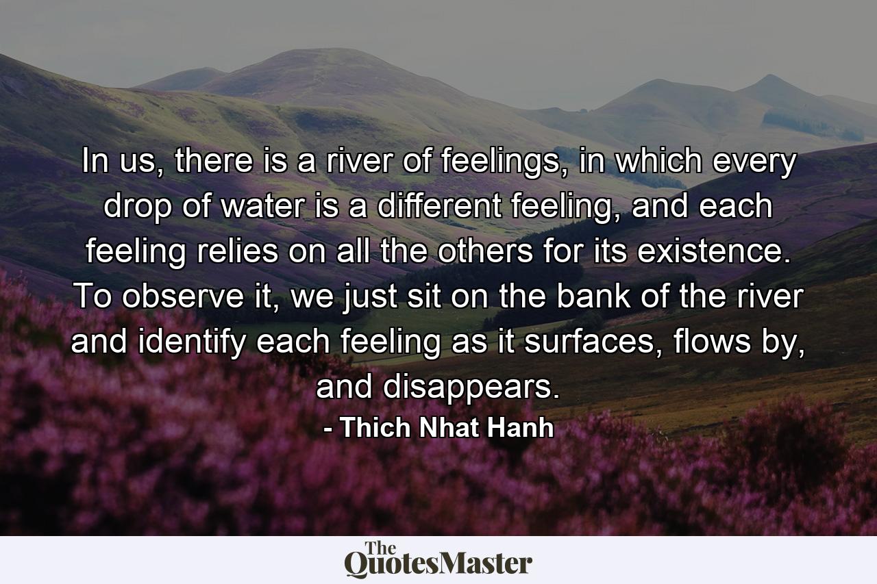 In us, there is a river of feelings, in which every drop of water is a different feeling, and each feeling relies on all the others for its existence. To observe it, we just sit on the bank of the river and identify each feeling as it surfaces, flows by, and disappears. - Quote by Thich Nhat Hanh