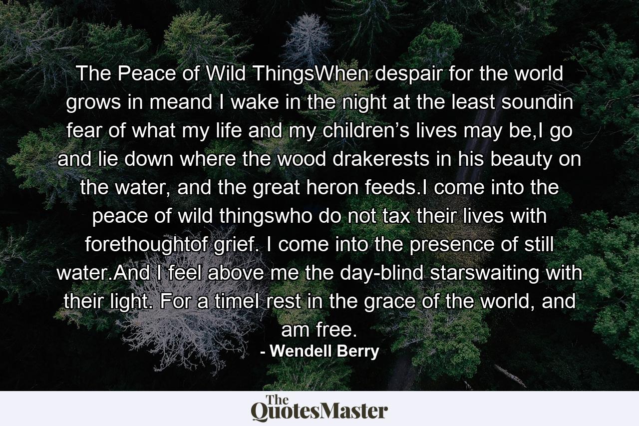 The Peace of Wild ThingsWhen despair for the world grows in meand I wake in the night at the least soundin fear of what my life and my children’s lives may be,I go and lie down where the wood drakerests in his beauty on the water, and the great heron feeds.I come into the peace of wild thingswho do not tax their lives with forethoughtof grief. I come into the presence of still water.And I feel above me the day-blind starswaiting with their light. For a timeI rest in the grace of the world, and am free. - Quote by Wendell Berry