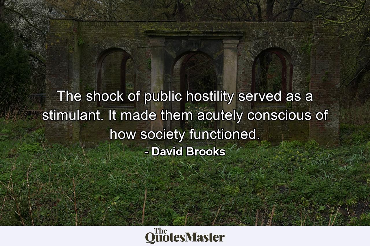 The shock of public hostility served as a stimulant. It made them acutely conscious of how society functioned. - Quote by David Brooks