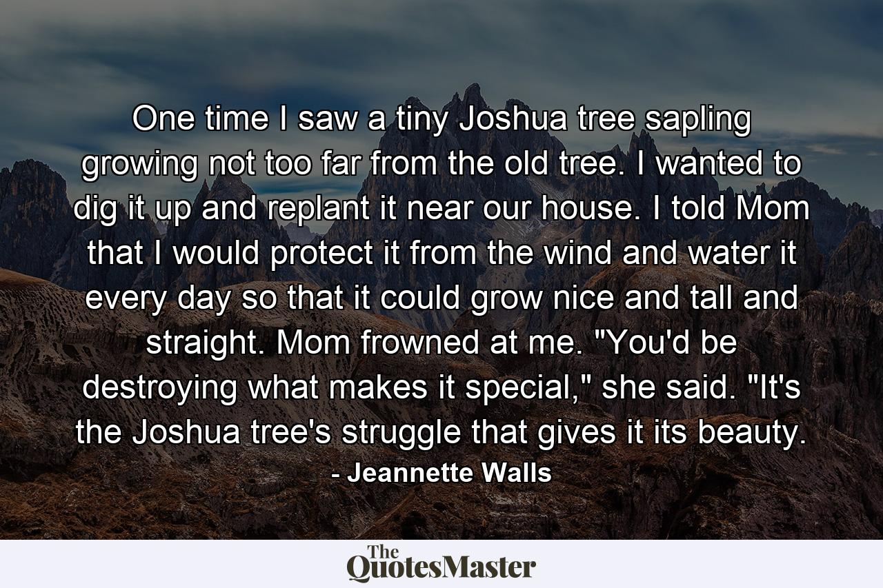 One time I saw a tiny Joshua tree sapling growing not too far from the old tree. I wanted to dig it up and replant it near our house. I told Mom that I would protect it from the wind and water it every day so that it could grow nice and tall and straight. Mom frowned at me. 