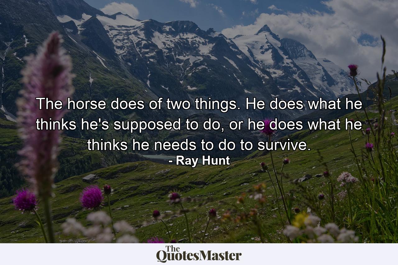 The horse does of two things. He does what he thinks he's supposed to do, or he does what he thinks he needs to do to survive. - Quote by Ray Hunt