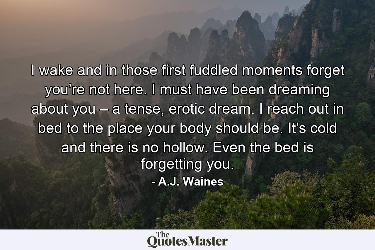 I wake and in those first fuddled moments forget you’re not here. I must have been dreaming about you – a tense, erotic dream. I reach out in bed to the place your body should be. It’s cold and there is no hollow. Even the bed is forgetting you. - Quote by A.J. Waines