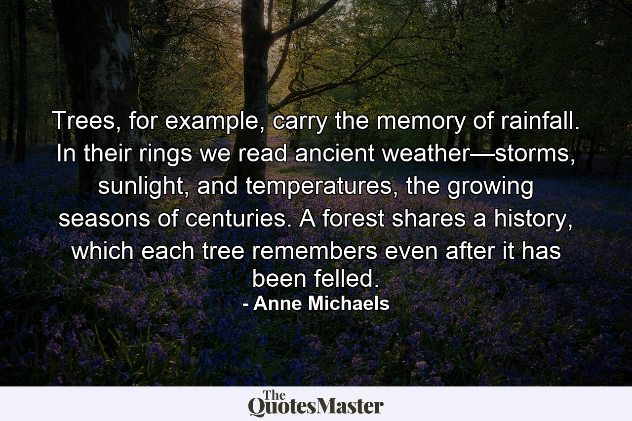 Trees, for example, carry the memory of rainfall. In their rings we read ancient weather—storms, sunlight, and temperatures, the growing seasons of centuries. A forest shares a history, which each tree remembers even after it has been felled. - Quote by Anne Michaels