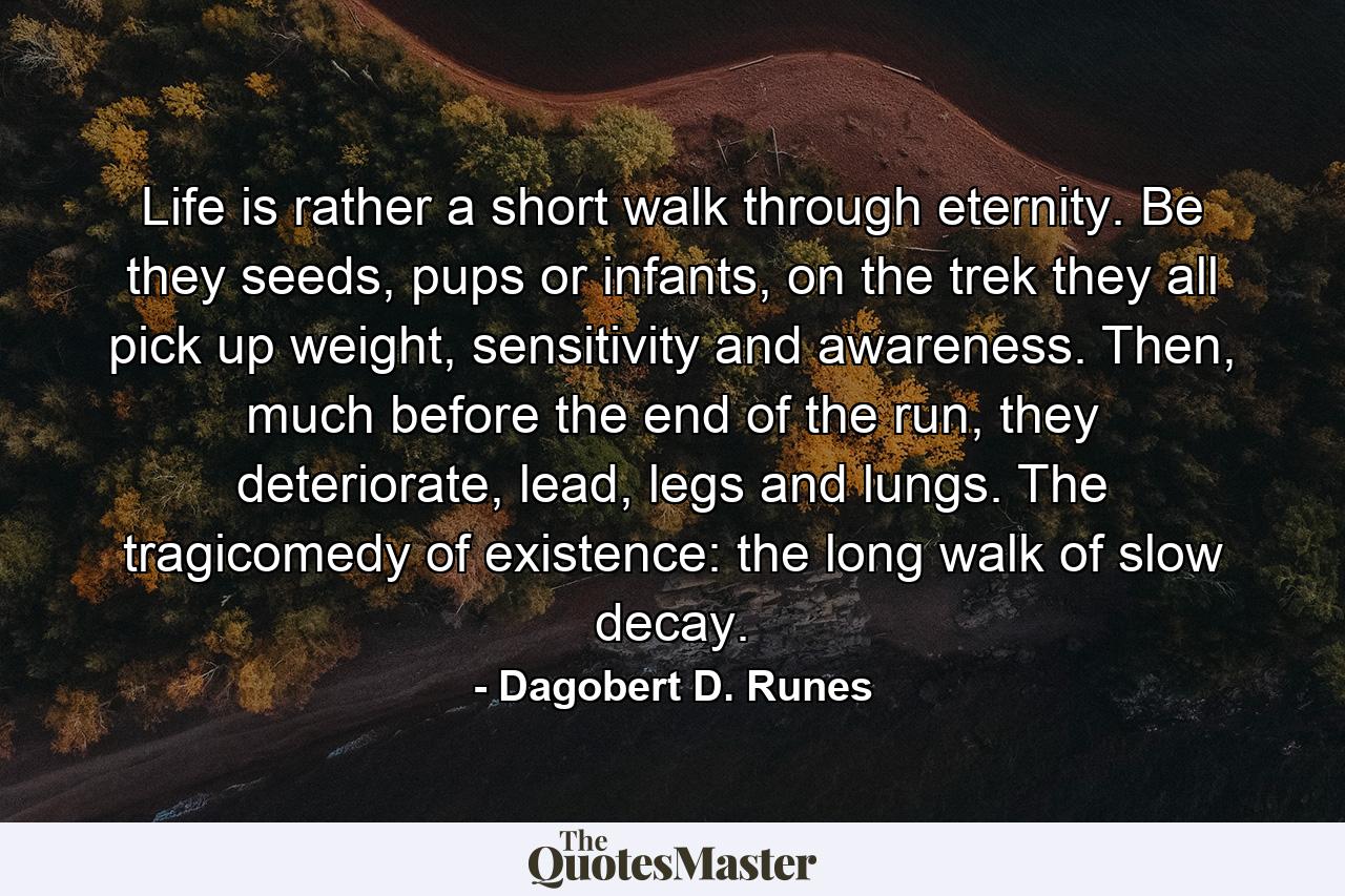 Life is rather a short walk through eternity. Be they seeds, pups or infants, on the trek they all pick up weight, sensitivity and awareness. Then, much before the end of the run, they deteriorate, lead, legs and lungs. The tragicomedy of existence: the long walk of slow decay. - Quote by Dagobert D. Runes