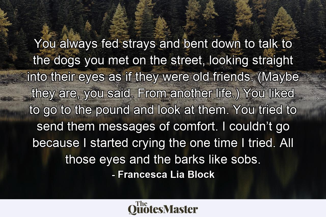 You always fed strays and bent down to talk to the dogs you met on the street, looking straight into their eyes as if they were old friends. (Maybe they are, you said. From another life.) You liked to go to the pound and look at them. You tried to send them messages of comfort. I couldn’t go because I started crying the one time I tried. All those eyes and the barks like sobs. - Quote by Francesca Lia Block