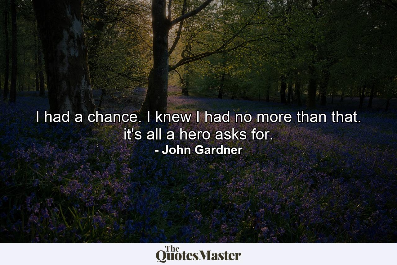 I had a chance. I knew I had no more than that. it's all a hero asks for. - Quote by John Gardner