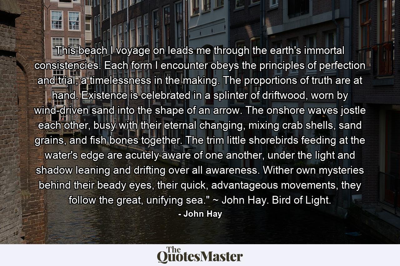 This beach I voyage on leads me through the earth's immortal consistencies. Each form I encounter obeys the principles of perfection and trial, a timelessness in the making. The proportions of truth are at hand. Existence is celebrated in a splinter of driftwood, worn by wind-driven sand into the shape of an arrow. The onshore waves jostle each other, busy with their eternal changing, mixing crab shells, sand grains, and fish bones together. The trim little shorebirds feeding at the water's edge are acutely aware of one another, under the light and shadow leaning and drifting over all awareness. Wither own mysteries behind their beady eyes, their quick, advantageous movements, they follow the great, unifying sea.