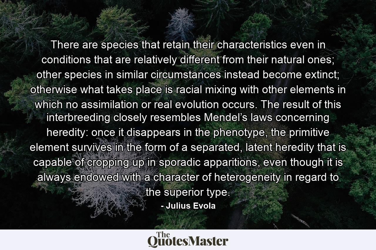 There are species that retain their characteristics even in conditions that are relatively different from their natural ones; other species in similar circumstances instead become extinct; otherwise what takes place is racial mixing with other elements in which no assimilation or real evolution occurs. The result of this interbreeding closely resembles Mendel’s laws concerning heredity: once it disappears in the phenotype, the primitive element survives in the form of a separated, latent heredity that is capable of cropping up in sporadic apparitions, even though it is always endowed with a character of heterogeneity in regard to the superior type. - Quote by Julius Evola