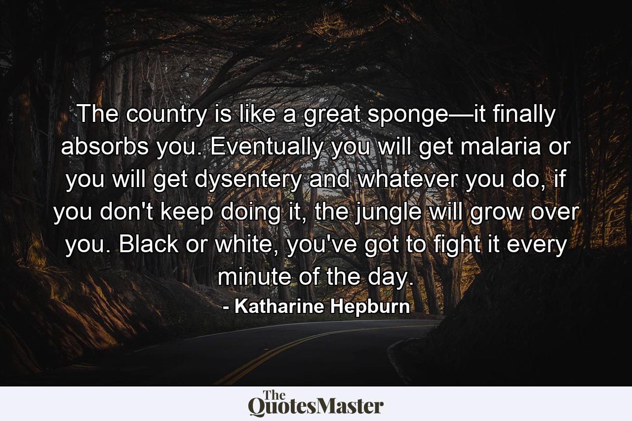 The country is like a great sponge—it finally absorbs you. Eventually you will get malaria or you will get dysentery and whatever you do, if you don't keep doing it, the jungle will grow over you. Black or white, you've got to fight it every minute of the day. - Quote by Katharine Hepburn