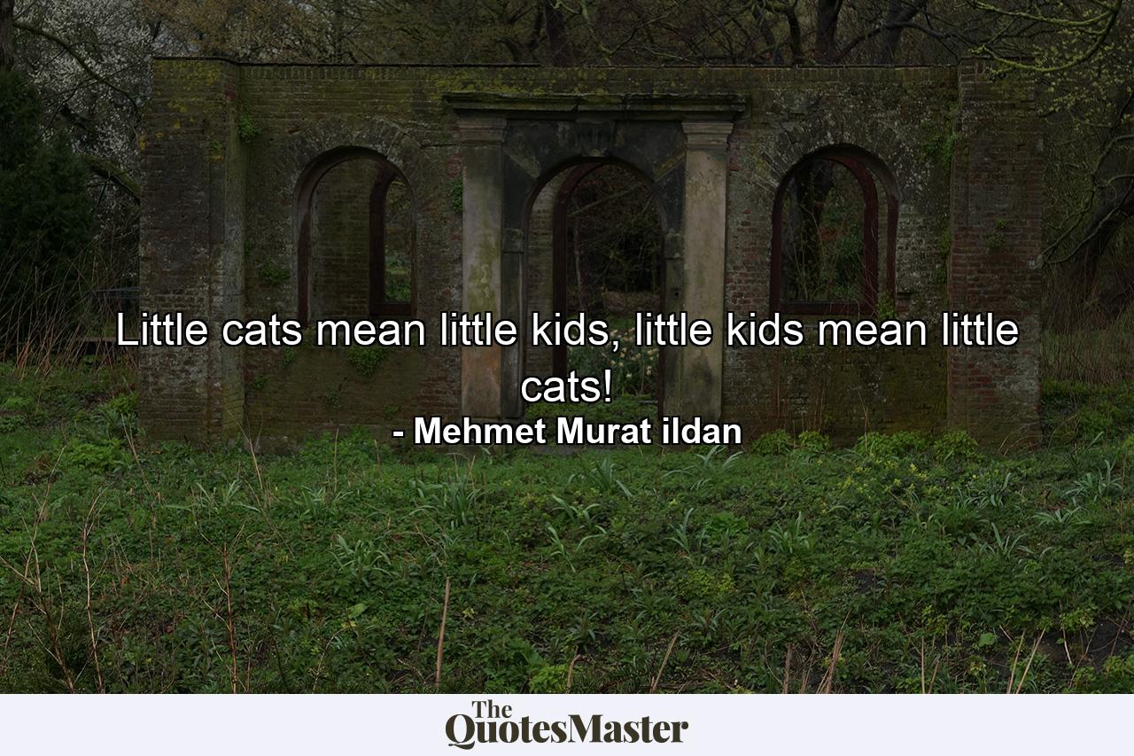 Little cats mean little kids, little kids mean little cats! - Quote by Mehmet Murat ildan