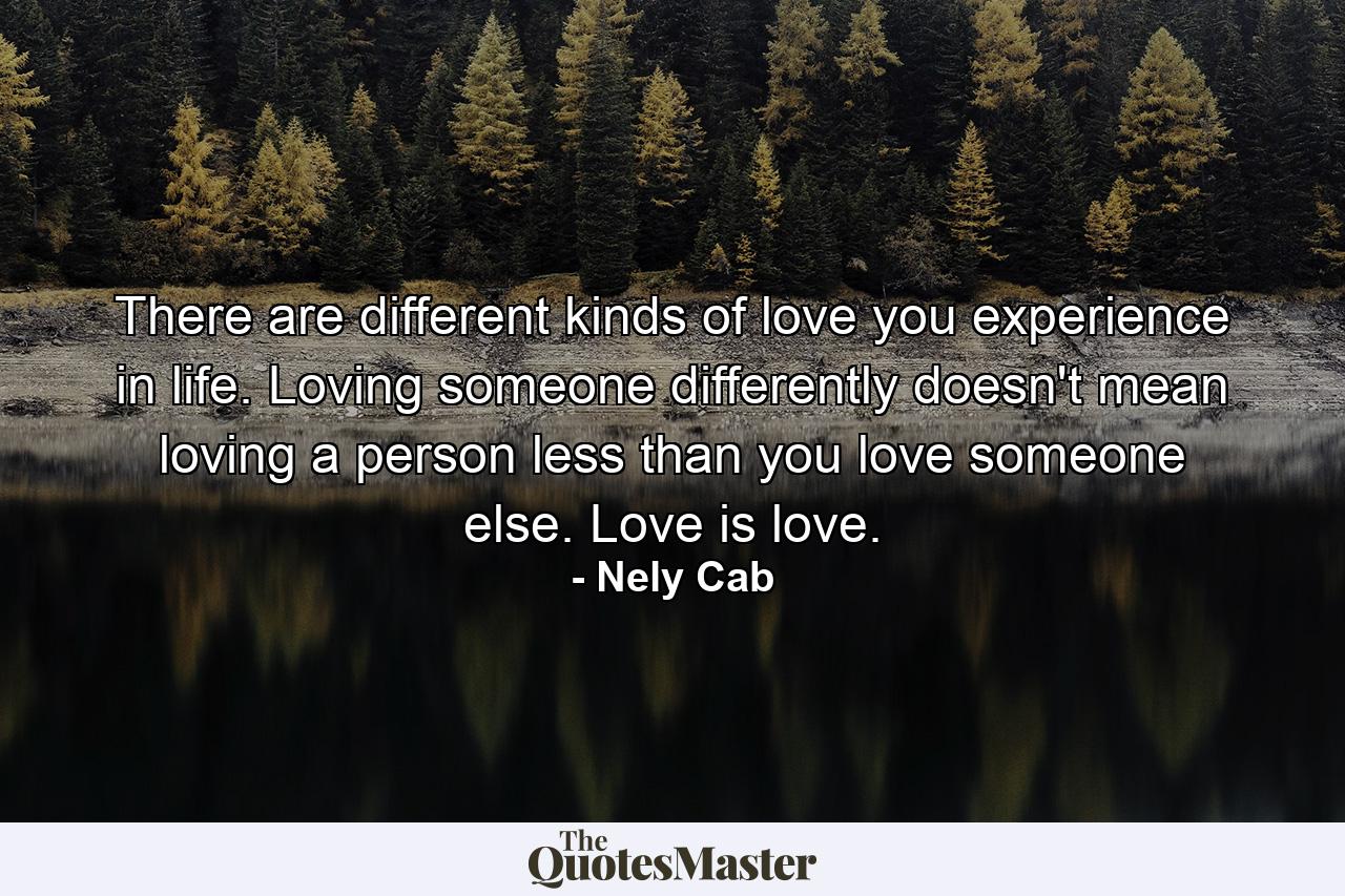 There are different kinds of love you experience in life. Loving someone differently doesn't mean loving a person less than you love someone else. Love is love. - Quote by Nely Cab