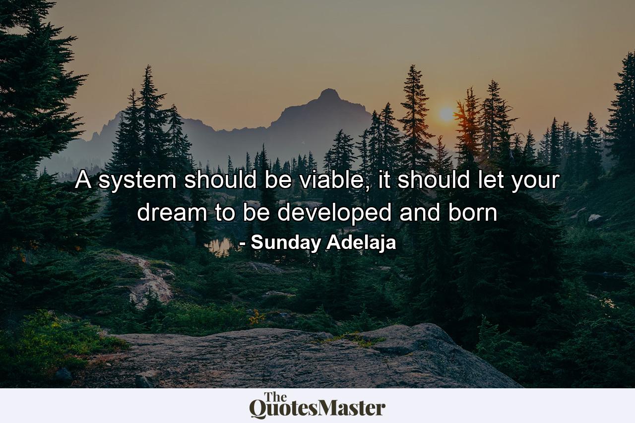 A system should be viable, it should let your dream to be developed and born - Quote by Sunday Adelaja