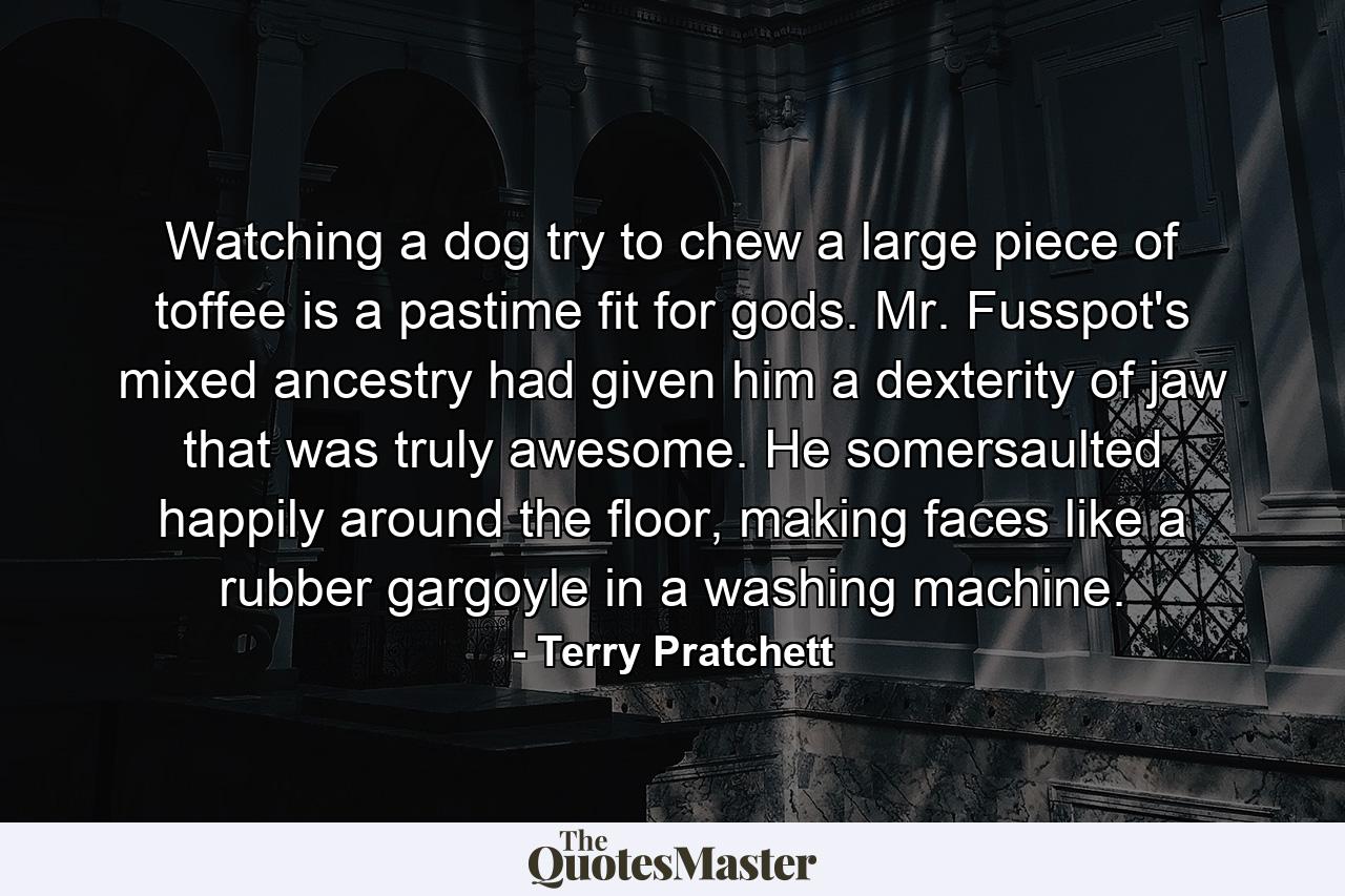 Watching a dog try to chew a large piece of toffee is a pastime fit for gods. Mr. Fusspot's mixed ancestry had given him a dexterity of jaw that was truly awesome. He somersaulted happily around the floor, making faces like a rubber gargoyle in a washing machine. - Quote by Terry Pratchett