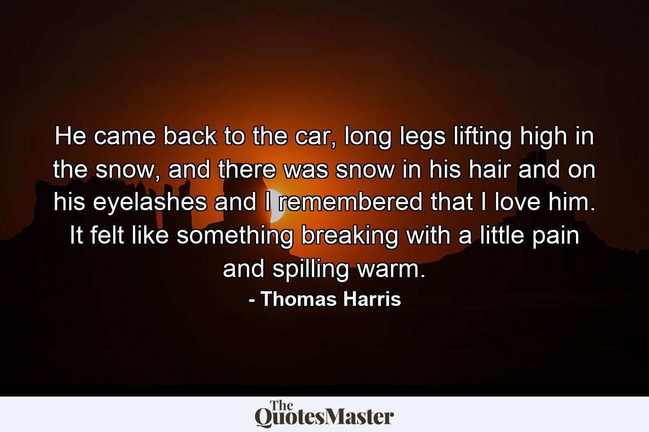 He came back to the car, long legs lifting high in the snow, and there was snow in his hair and on his eyelashes and I remembered that I love him. It felt like something breaking with a little pain and spilling warm. - Quote by Thomas Harris