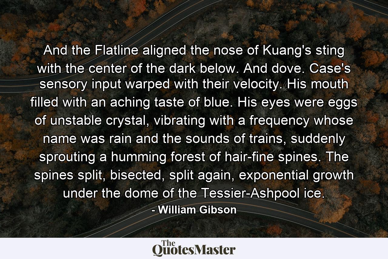 And the Flatline aligned the nose of Kuang's sting with the center of the dark below. And dove. Case's sensory input warped with their velocity. His mouth filled with an aching taste of blue. His eyes were eggs of unstable crystal, vibrating with a frequency whose name was rain and the sounds of trains, suddenly sprouting a humming forest of hair-fine spines. The spines split, bisected, split again, exponential growth under the dome of the Tessier-Ashpool ice. - Quote by William Gibson